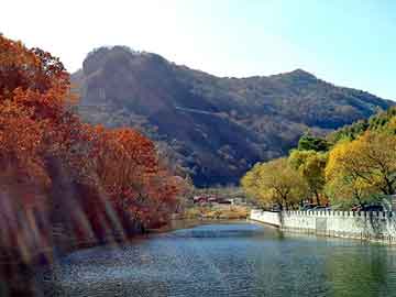 新澳天天开奖资料大全旅游团，热能裤